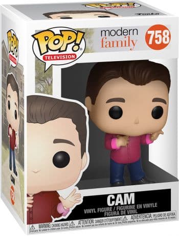 Cam