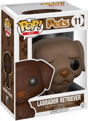 Labrador Retriever