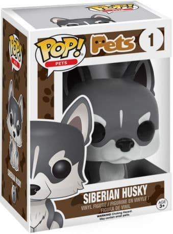 Husky Sibérien