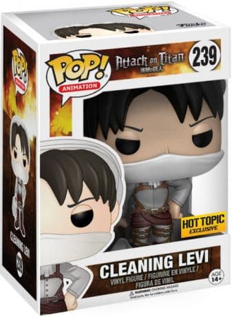 Levi Nettoyage