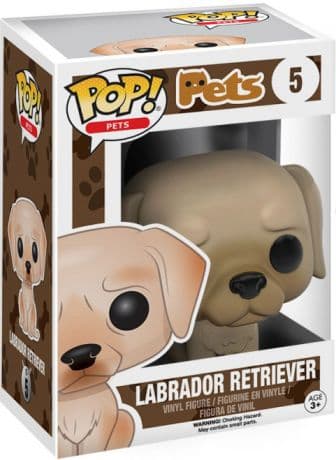 Labrador Retriever