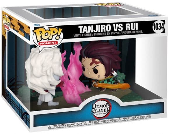 Tanjiro vs. Rui