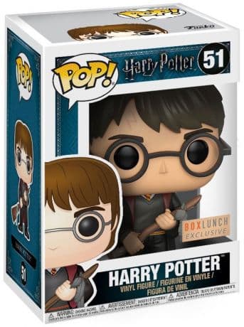 Harry Potter avec Eclair de Feu