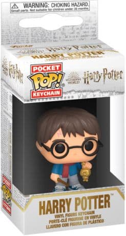 Harry Potter (Noël)