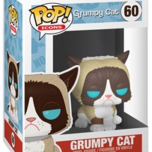 Chat grincheux