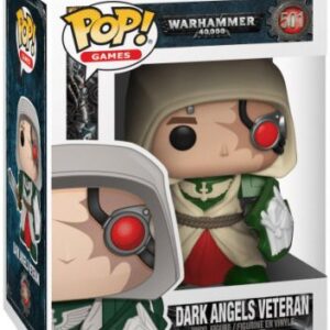 Dark Angels Veteran