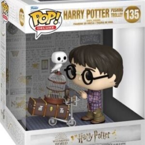 Harry Potter avec chariot