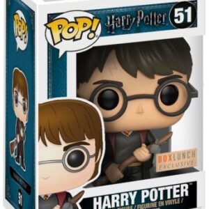 Harry Potter avec Eclair de Feu