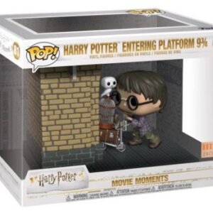 Harry Potter Entrant dans la Voie 9 3/4