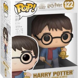 Harry Potter (Noël)