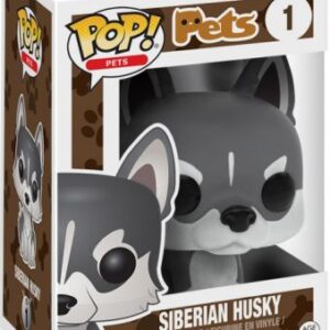 Husky Sibérien