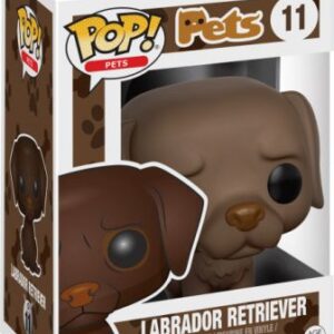 Labrador Retriever