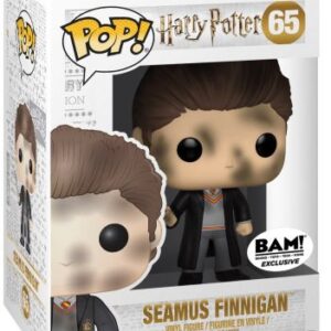 Seamus Finnigan