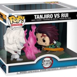 Tanjiro vs. Rui